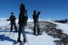 agentes medioambientales de la Junta de Castilla y León buscando uno de los dos ejemplares de urogallo cantábrico 