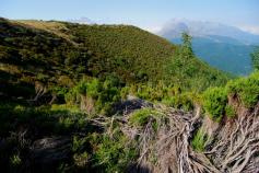 Acciones del proyecto