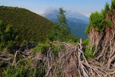 Acciones del proyecto