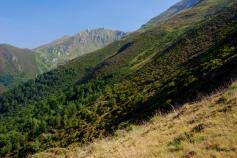 Acciones del proyecto