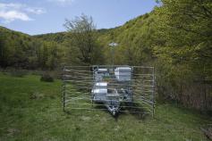 Las abejas de los colmenares móviles contribuyen a polinizar el arándano 