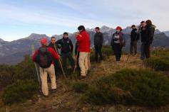 Acciones del proyecto