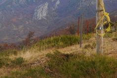 Acciones del proyecto