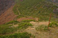 Acciones del proyecto