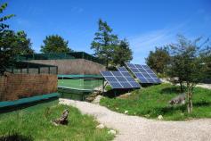 Acciones del proyecto