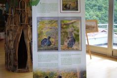 Acciones del proyecto