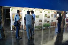 Acciones del proyecto