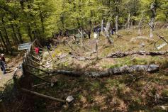 Visita a las instalaciones del parque de suelta de ejemplares criados en cautividad