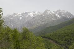 Picos de Europa