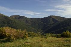 La Fundación Patrimonio Natural de Castilla y León licita trabajos de mejora de hábitat en el marco del LIFE+ Urogallo cantábrico