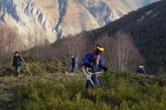 Resultados del proyecto de custodia de la Fundacion Oso Pardo en la Reserva de Biosfera de Muniellos