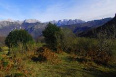 Firmado el primer acuerdo de custodia en el marco del LIFE+ Urogallo cantábrico