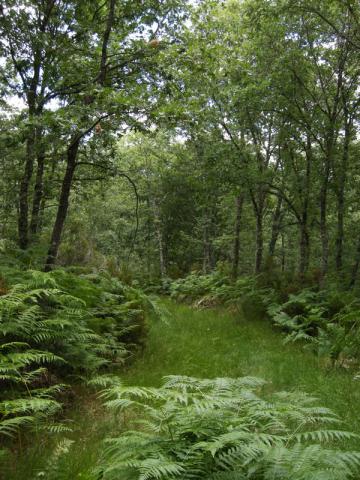 Comarca de la Cepeda. @Manuel A.González