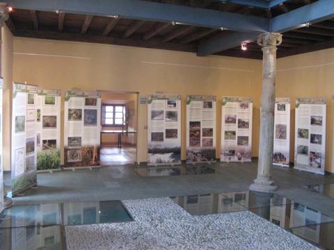 Exposición sobre el urogallo cantábrico