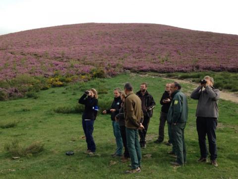 Representantes de la Comisión Europea, la Fundación Biodiversidad y los socios del proyecto durante la visita a las actuaciones del proyecto LIFE+ Urogallo cantábrico 