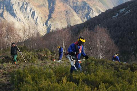 Resultados del proyecto de custodia de la Fundacion Oso Pardo en la Reserva de Biosfera de Muniellos
