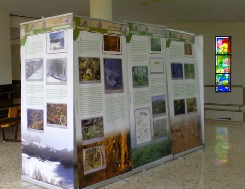 Exposición del LIFE+ Urogallo cantábrico en la Universidad de León