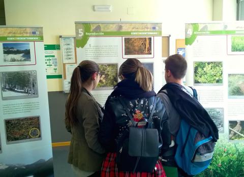 Exposición sobre el urogallo cantábrico en el Campus de Ponferrada de la Universidad de León