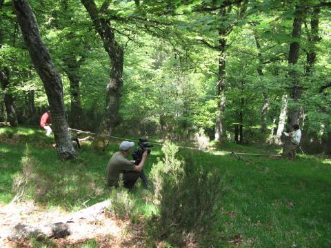 Grabación de las imágenes del documental del LIFE+ Urogallo cantábrico