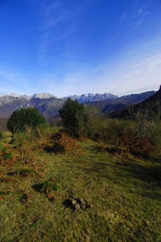 Firmado el primer acuerdo de custodia en el marco del LIFE+ Urogallo cantábrico