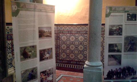 Exposición del LIFE+ Urogallo cantábrico en Vegadeo