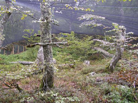 Parque de presuelta @ Servicio territorial de Medio Ambiente de León