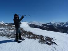 Detección hembras radiomarcadas Detección hembras radiomarcadas